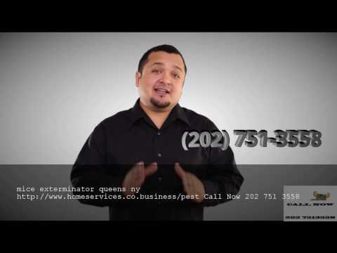 download lagu mp3 mp4 Exterminator Queens, download lagu Exterminator Queens gratis, unduh video klip Exterminator Queens