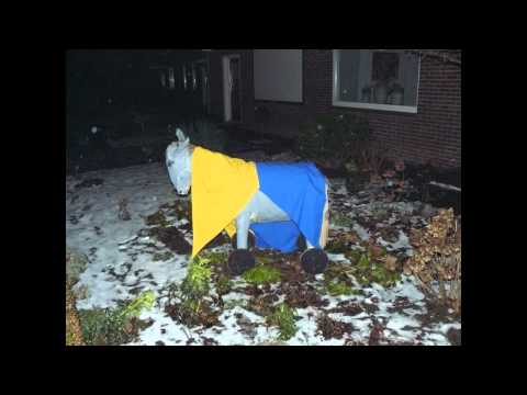 boeregerei aan de wanjel in 2010