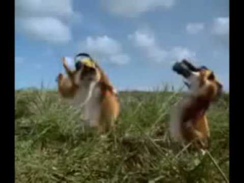 Hamsteruhh!! *ALLE AH HAMSTERFILMPJES!!*