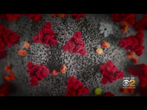 冠狀病毒最新進展：紐約的陽性病例增至11例 (Coronavirus Update: Number Of Positive Cases In New York Rises To 11)