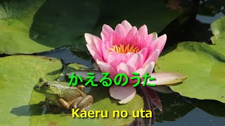 かえるの歌  ローマ字歌詞、ポルトガル語翻訳付きkaeru no uta　with lyrics