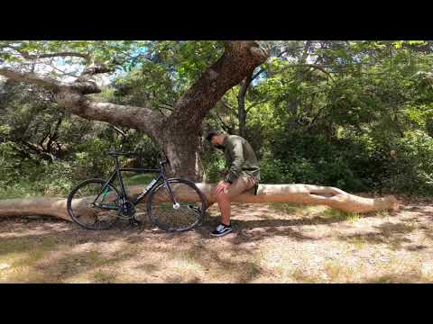 JERHELL “Take Your Time. Cinelli Mash Histogram.