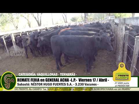 DE FRENTE AL CAMPO junto al SECTOR PRODUCTIVO - REMATE NHF S.A. -17/ABRIL -PARTE 3-