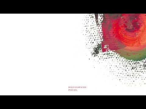 Roman Hampacher - Roman Hampacher - Ptáčata (singl)