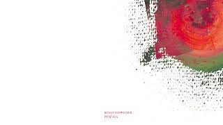 Video Roman Hampacher - Ptáčata (singl)