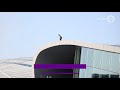 VIDEO | Man klimt op dak van station Arnhem Centraal