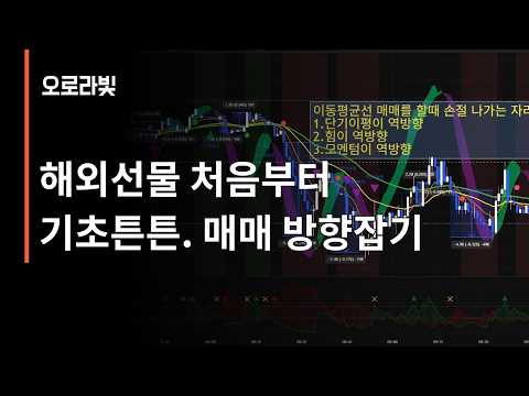 초보자들을 위한 영상