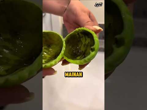 Apa yang Tersembunyi di Mainan ini?