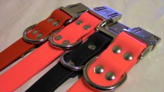 Waterproof Dog Collar by Sparky's Choice