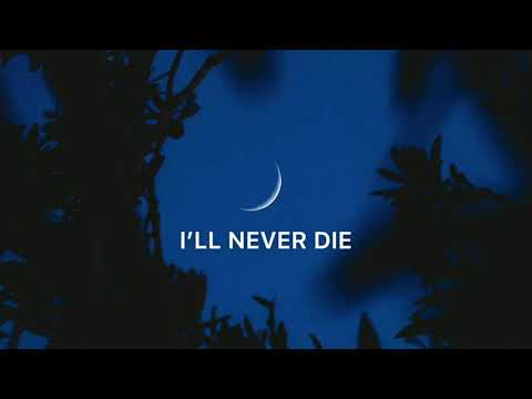 I’LL NEVER DIE - DANIEL GUNNARSSON (LYRICS)