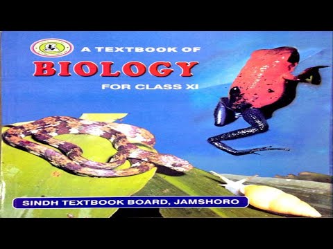 2.8 -CONJUGATED MOLECULES || CHAPTER 2 -BIOLOGICAL MOLECULES || FIRST YEAR BIO