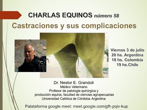 , title : 'CHARLAS EQUINOS Castraciones y sus complicaciones, Dr. Nestor Grandoli'