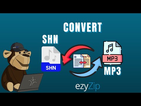 🎶 How to Convert SHN to MP3 │