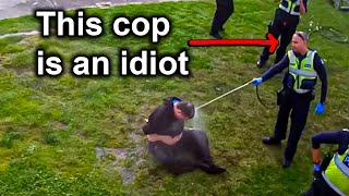 Cops Who Got OWNED by Their Own Mistakes