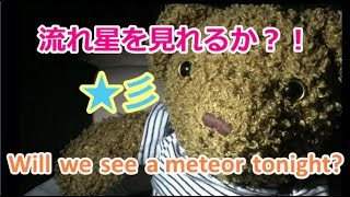 流れ星を見れるか？／Will we see meteor tonight?