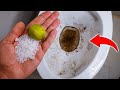 Say goodbye to toilet bowl filth forever with this lemon and salt hack | Toilet bowl cleaning hack