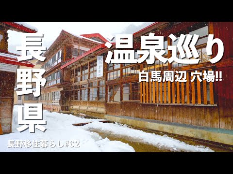 オタリ科 - 定義