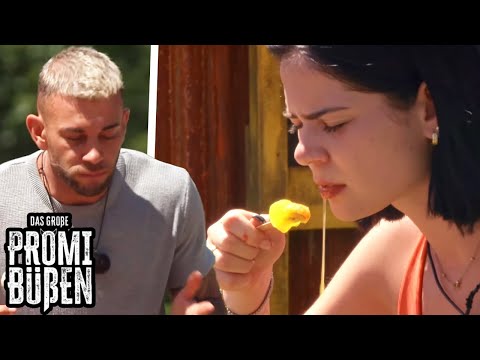 Onion, garlic, or caraway ice cream – a stomachache is practically guaranteed! | The great celebr...