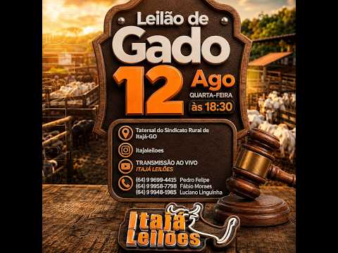 LEILÃO DE GADO DA ITAJÁ LEILÕES