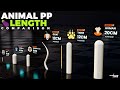 Animal PP Size 3D Comparison