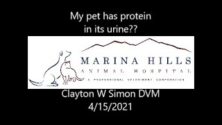 Protein in Urine?
