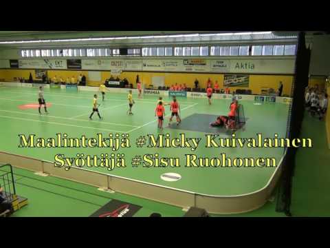 PSS P03 maalikooste 2016-17