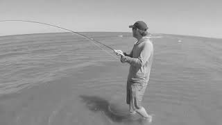 Sand fleas and 6wts fly fishing