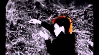 Dead Hollywood Stars - Last train to Aldebaran