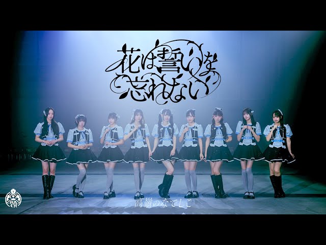 HoneyWorksプロデュース「高嶺のなでしこ」、1stアルバムリード曲「花は誓いを忘れない」MV公開&先行配信開始!絆と覚悟を描いた新曲の全貌 2 YouTubeサムネイル