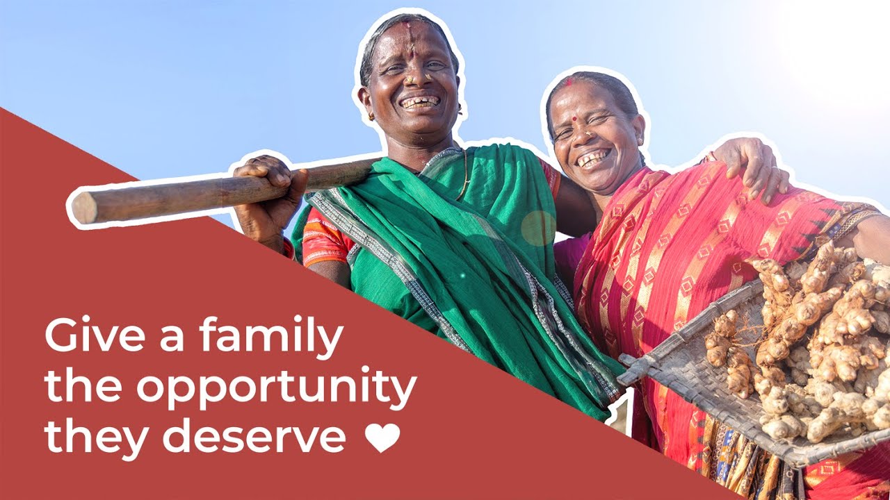 ✨You Can Make a World of Opportunity with Heifer International✨