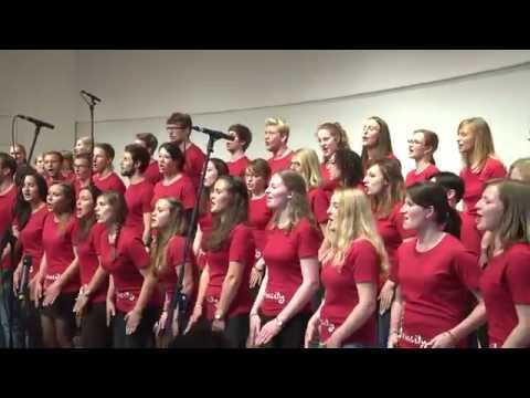 Choriosity sings FUN - Some nights - a cappella
