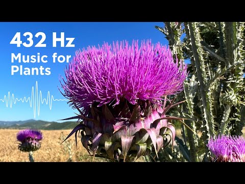 432 Hz Music for Plants to Stimulate Growth and Healing Vibes