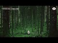 Songs For An Empty World