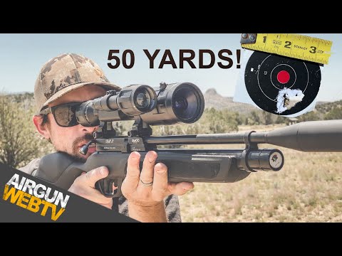 5 REASONS WHY I LOVE the GAMO Urban 22