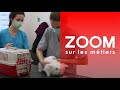 Assistant / assistante en médecine vétérinaire - Zoom sur les métiers