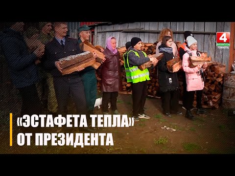Волонтеры различных организаций заготовили дрова для одинокой жительницы деревни видео