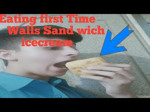 Wall's Ice cream Sandwich having Vanilla and Chocolate | Zargham World