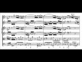 J.S. Bach - BWV 1043 - (1) Vivace d-moll / D minor