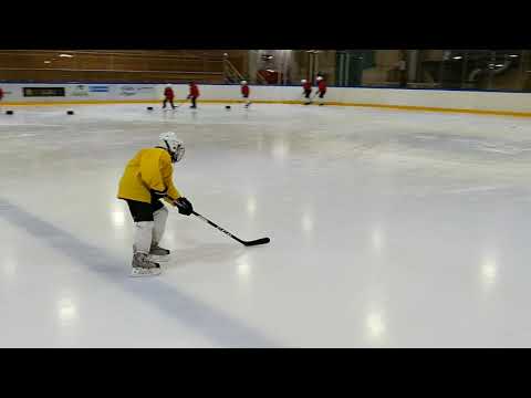 Kiekko-Ahma F1 treenit 5.2.2020