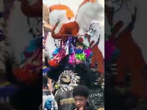 vanidoso de la colonia las flores en semana santa 2026