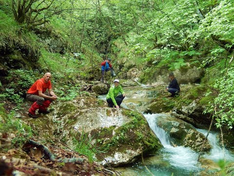 PSD "Brezovača" Hadžići - potok Međeđa 12.05.2018.