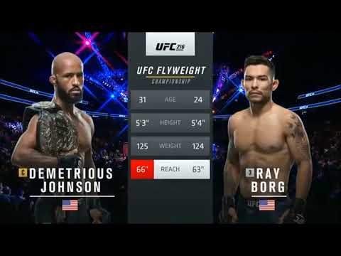 Demetrious Johnson vs Ray Borg