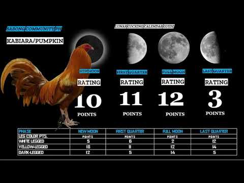 tips calendar ng manok panabong