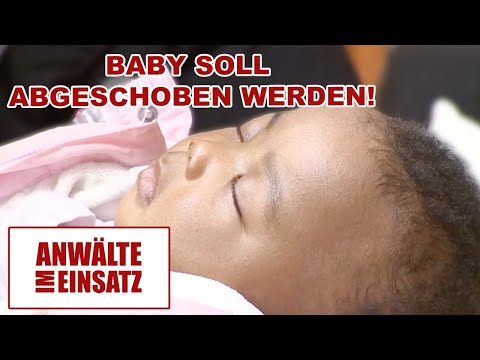 Baby to be deported! Lawyer Braun fights for deceased mother! |1/2| Lawyers in action