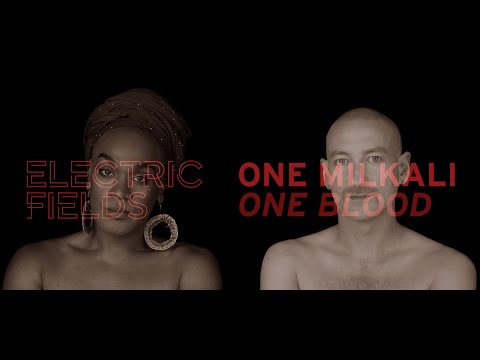Electric Fields - One Milkali (One Blood) [Lyric Video]