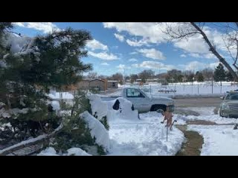 Time lapse snow April 2023