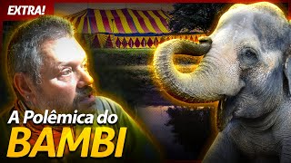 Miniatura do vídeo