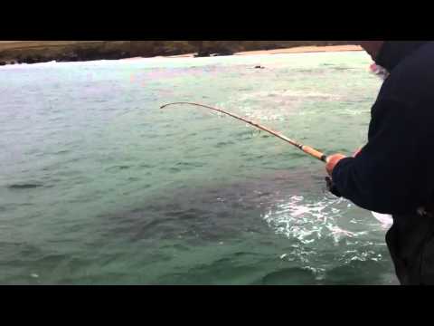 Catching a Dab at Port of Ness