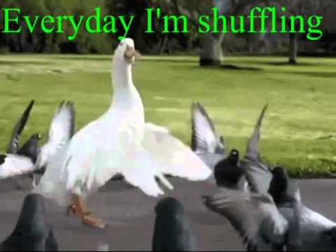 Everyday I'm shuffling!