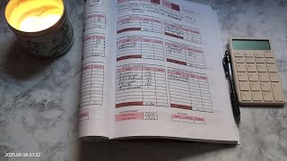 $250 school bus violation 😕 (paycheck budget # 2 | $1'890 to allocate)